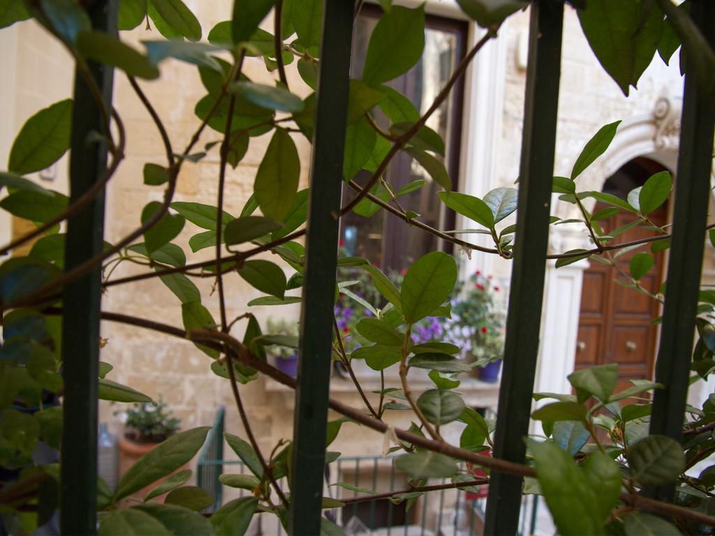 B&B Corte Dell' Idume Lecce Buitenkant foto