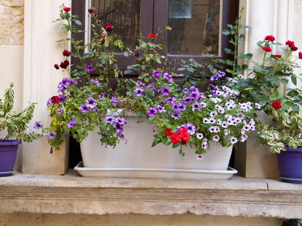 B&B Corte Dell' Idume Lecce Buitenkant foto